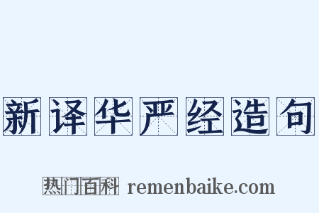 新译华严经造句是什么意思的图片